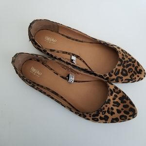 Massimo leopard print flats with studs